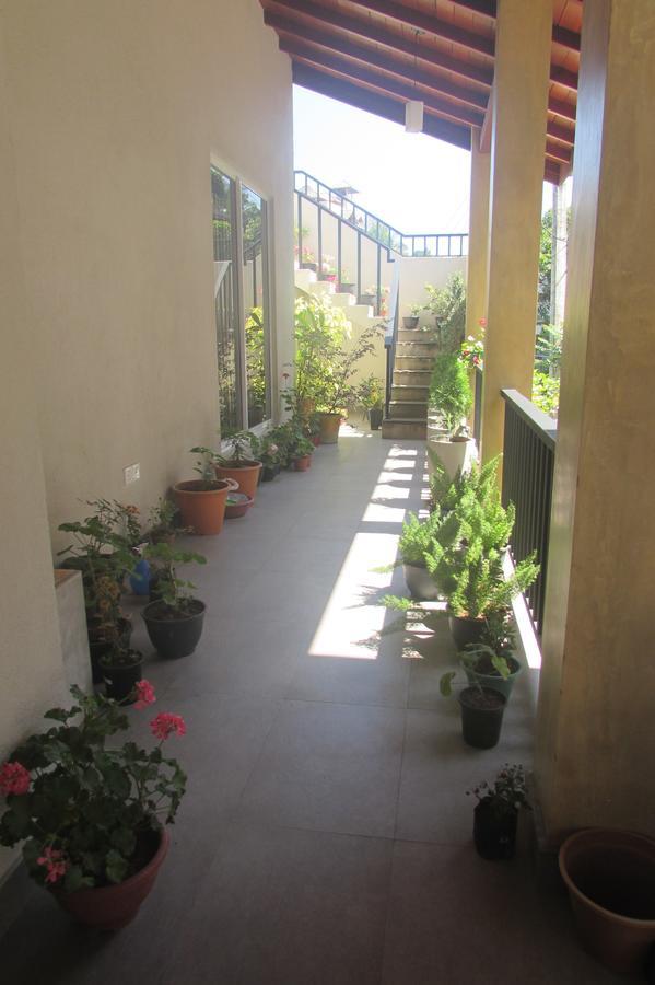 Red Chillies Tourist Inn Κάντι Εξωτερικό φωτογραφία