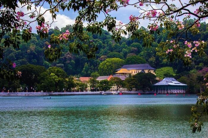 Red Chillies Tourist Inn Κάντι Εξωτερικό φωτογραφία